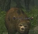 A motley kodiak
