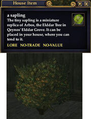 A sapling