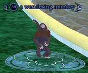 A wandering monkey