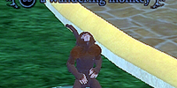 A wandering monkey
