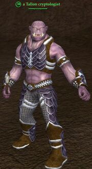 Tallon cryptologist