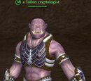 A Tallon cryptologist