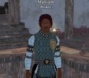 Mallium