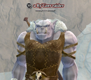 A Ry'Gorr raider