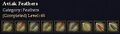 CQ feathers aviak Journal.jpg
