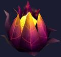 Flame flower (Visible).jpg