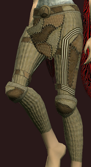 Untainted Naturalist's Leather Pants (Equipped)