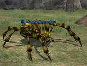 A large yellow recluse