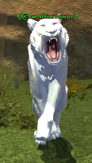 An Albino Prowler