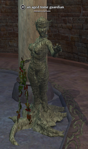 An aged tome guardian