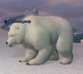 A blizzard grizzly.png