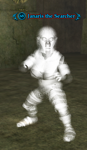 Janaris the Searcher