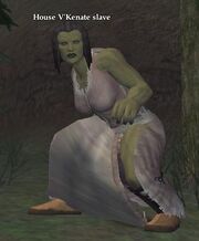 HouseV'Kenate slave