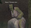 HouseV'Kenate slave
