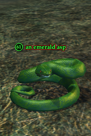 An emerald asp