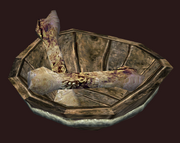 Remnants of a Meal (Visible)