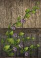 Wall-clinging vine (Visible).jpg