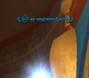 An ungranted wish