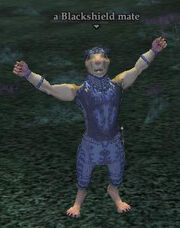 A Blackshield mate