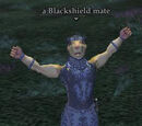 A Blackshield mate