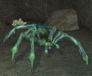 Zerilia