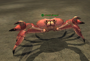 A beach clamper