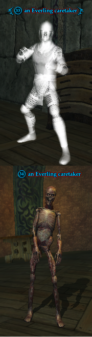 An Everling caretaker