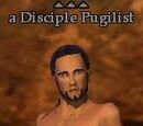 A Disciple Pugilist