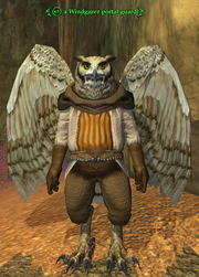 A Windgazer portal guard