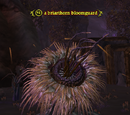 A briarthorn bloomguard