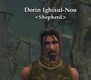 Dorin Ighisul-Nou