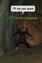 The Pit Champion