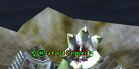 A Gold Gripper
