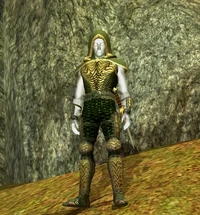 Aery Hunter IV (Master)