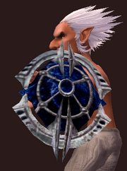 War Shield of the Rallosian Sentinel (Equipped)