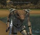 An Alliz Raef Ew champion