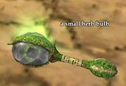 Small herb bulb