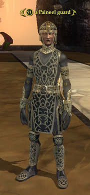 A Paineel guard