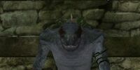 An Evol Ritualist