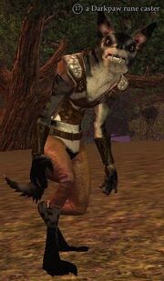 A Darkpaw rune caster