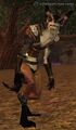A Darkpaw rune caster.jpg