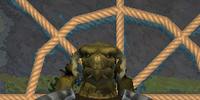 Warden Skalarr