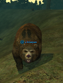 A briarpaw.png