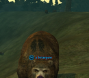 A briarpaw