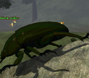 A klakrok soldier
