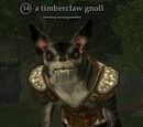 A timberclaw gnoll