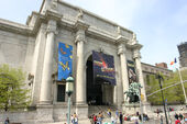 Museo Libertonian-realidad.jpg