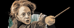 Deathlyhallowsduel.png