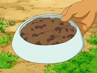 http://vignette1.wikia.nocookie.net/es.pokemon/images/3/31/EP556_Comida_de_Brock_para_bebes.png/revision/