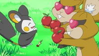 EP687 Emolga usando atraccion contra Patrat